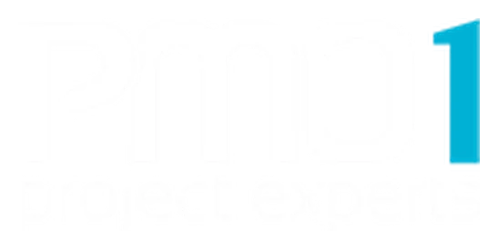 PMO1 - Project Experts